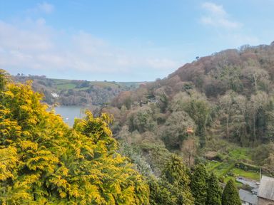 A landscape view with trees hills a water body and some houses at High Banks in Dartmouth