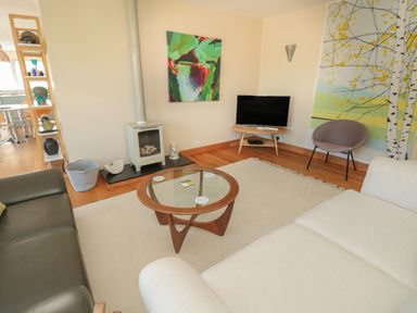 A living room with a glass coffee table a wood stove a television on a wooden stand and two sofas at High Banks in Dartmouth