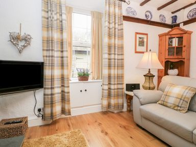 A living room with a sofa lamp and television near a window with plaid curtains at Dalesway Cottage in Bowness-On-Windermere