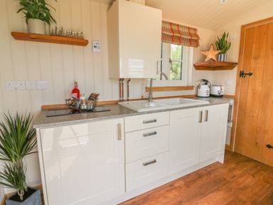 A kitchen with white cabinets a sink a window wooden shelves plants and a wooden door at Marches Way in Rhayader