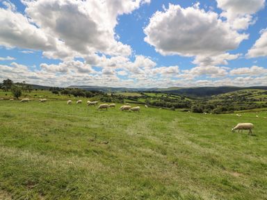 A grassy hillside with sheep grazing and rolling hills in the background at Marches Way in Rhayader