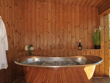 A bathroom with a bathtub and plant at The Hideout in Lanreath