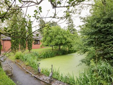 A garden pond with green algae surrounded by trees and plants a brick house and a wooden bench near the pond at Byefield Lodge in Welland