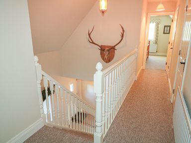 A hallway with carpeted floor and a white banister leading to a staircase at Goose Cottage Caledon near Killylea