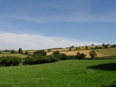 A green grassy field with trees and harvested farmland under a blue sky at Ribby Barn in Lerryn