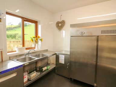 A kitchen with a double sink stainless steel counters a large refrigerator and a window with a vase of sunflowers at Llety Ceiro in Bow Street Wales