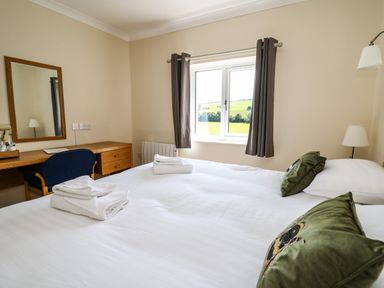 A bedroom with a bed with white linens and green pillows a wooden desk with a mirror and a blue chair and a window with brown curtains at Llety Ceiro Bow Street Wales