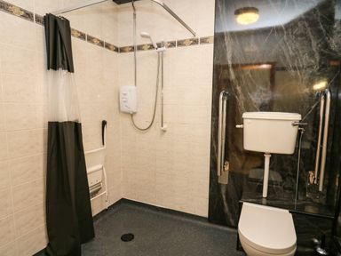 A bathroom with a shower area and a toilet with handrails at Llety Ceiro in Bow Street Wales