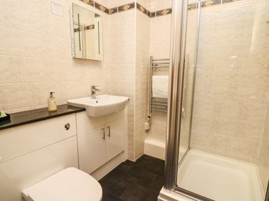 A bathroom with a toilet sink mirror shower and towel rack at Llety Ceiro in Bow Street Wales