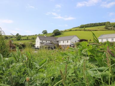 A white house behind tall grass with green hills and trees in the background at Llety Ceiro Bow Street Wales