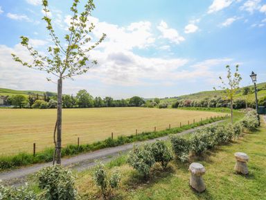 A field with small trees a gravel path and bushes in a rural landscape at Llety Ceiro Bow Street Wales