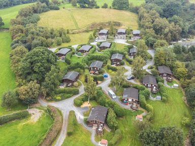 An aerial view of small wooden lodges and parked vehicles surrounded by trees and grass at Barn Owl Lodge in Rhayader