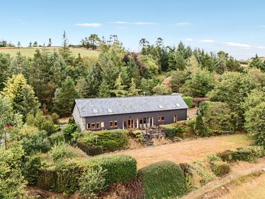 A house surrounded by trees and grass at Barn Owl Lodge in Rhayader