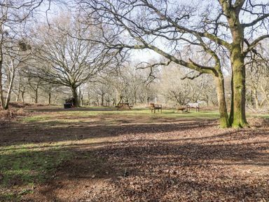 An outdoor area with leafless trees and wooden benches and picnic tables at Deer Lodge in Wimborne Minster