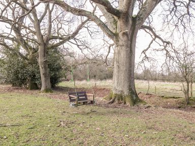 A wooden bench swing hanging from a large tree in a grassy field with other trees in the background at Deer Lodge in Wimborne Minster