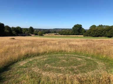 A field with tall grass and a circular patch of mowed grass with trees and buildings in the background at Deer Lodge in Wimborne Minster