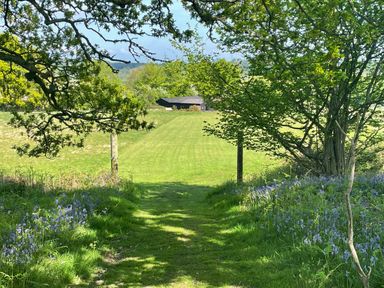 A grassy path leading to a lawn area with a black building surrounded by trees and blue flowers at Deer Lodge in Wimborne Minster