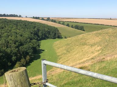 A rural landscape with green fields sheep and patches of trees viewed over a metal gate at 1 Church Barns in Pocklington