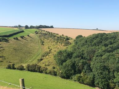 A rural landscape with green fields trees and a path under a clear sky at 1 Church Barns in Pocklington