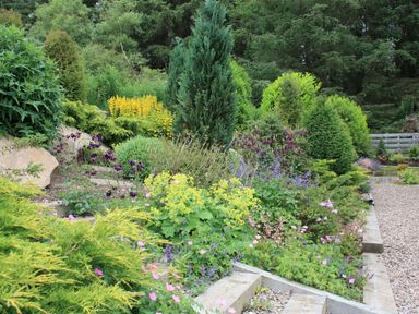 A garden with various shrubs flowers and conifer trees along a gravel path at Larchwood Lodge in Ellon