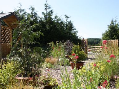 A garden with potted plants flowers and greenery surrounded by wooden fencing at Larchwood Lodge in Ellon