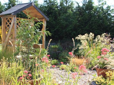 A garden with pink flowers gravel path and a wooden pergola at Larchwood Lodge in Ellon