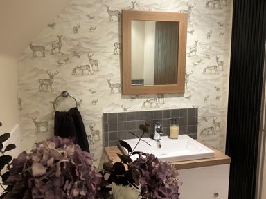 A bathroom with a sink and mirror at Larchwood Lodge in Ellon