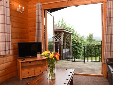 A wooden interior living room with a TV on a wooden stand and flowers on a table overlooking a garden patio at Hillside View in Rhayader