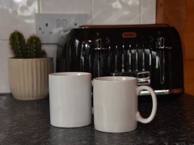 Two white mugs on a kitchen counter with a black toaster and a potted cactus plant in the background at Hillside View in Rhayader