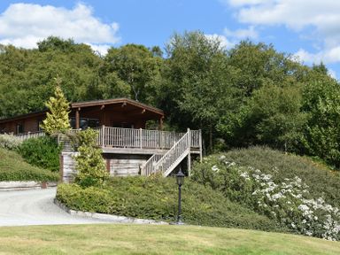 A wooden cabin with a fenced porch surrounded by greenery and trees at Sunny View in Rhayader