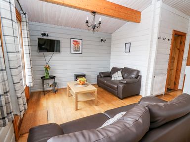 A living room with two brown leather sofas a wooden coffee table and a wall-mounted TV at Snowy Owl Lodge in Rhayader