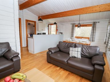 A living room with brown leather sofas a dining table set with dishes and cutlery and a kitchen area at Snowy Owl Lodge in Rhayader