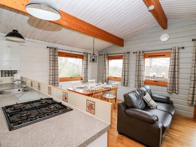 A kitchen and dining area with a black stove sink wooden table chairs and a black leather sofa at Snowy Owl Lodge in Rhayader