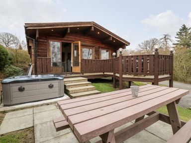 A wooden cabin with a deck and hot tub next to a picnic table at Snowy Owl Lodge in Rhayader