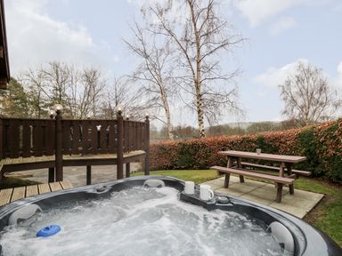 An outdoor hot tub with two mugs and a picnic bench near a wooden deck surrounded by trees at Snowy Owl Lodge in Rhayader