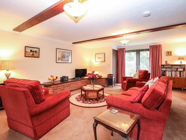 A living room with red sofas a wooden coffee table a television and paintings on walls at Walnut Tree Cottage in Catfield