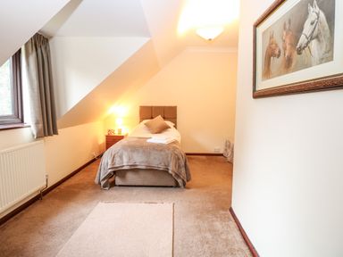 A bedroom with a single bed a bedside table with a lamp a window with curtains and a painting of horses on the wall at Walnut Tree Cottage in Catfield
