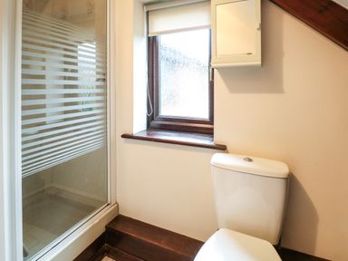 A bathroom with a shower enclosure a window a toilet and a wall cabinet at Walnut Tree Cottage in Catfield