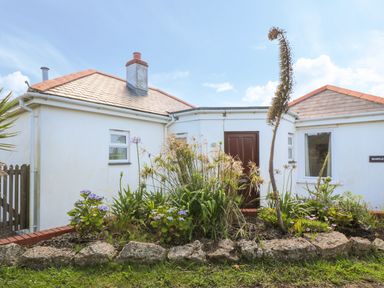 A white bungalow with a dark brown door and a garden bed with plants and flowers in front at Rospletha Bungalow in Treen