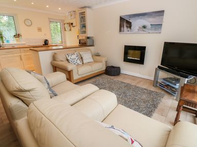 A living room with beige sofas a gray rug a TV and a wall-mounted fireplace at 17 River Banks in Liskeard
