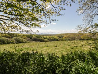 A view of a grassy field with trees and hills in the distance under a blue sky at 17 River Banks in Liskeard