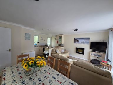 An open living and kitchen area with a dining table with flowers on it a sofa TV and a kitchen counter at 17 River Banks in Liskeard