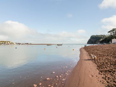 A beach with a dog near the water and boats in the sea at Teign Cottage in Shaldon