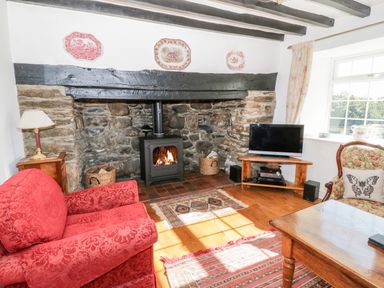 A living room with a stone fireplace wood-burning stove red armchair patterned armchair wooden coffee table and television at Tyn Llwyn Pencoed near Corwen