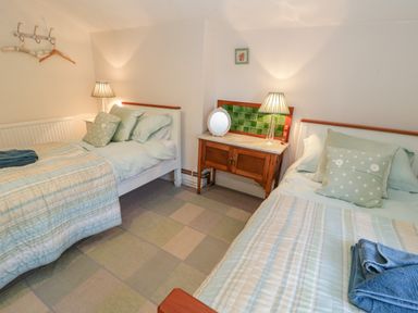 A bedroom with two single beds a wooden bedside table with a lamp and a mirror at Tyn Llwyn in Pencoed near Corwen