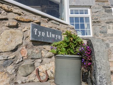 A stone wall with a sign reading Tyn Llwyn a potted plant and a horseshoe at Tyn Llwyn in Pencoed near Corwen