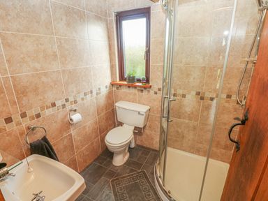 A bathroom with a toilet sink shower window and towel at Sarngwm in Narberth