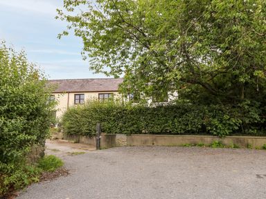A driveway with bushes and trees leading to a white house with brown windows at Fisherman s Cottage in Llandysul