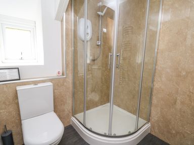 A bathroom with a toilet and a glass-enclosed corner shower at Fisherman's Cottage in Llandysul