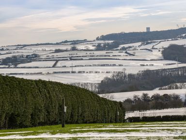 A snowy rural landscape with fields separated by hedges and a grassy area with tall bushes in the foreground at Shipswheel Cottage at Broadings Farm in Whitby